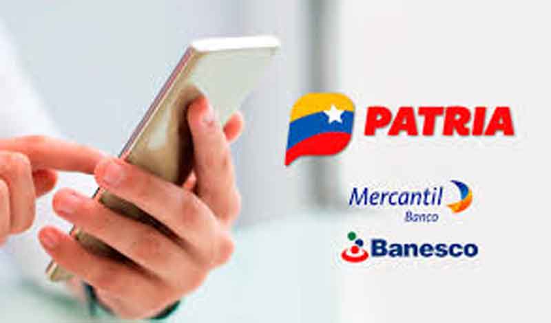 monedero-patria