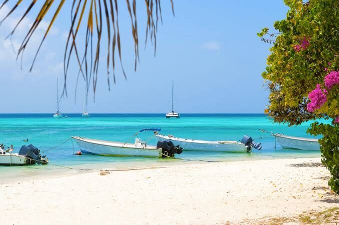 licencia-turistica-los-roques